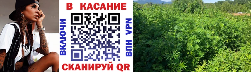 Где можно купить наркотики Чадан АМФ  Конопля  МЕФ  Гашиш 