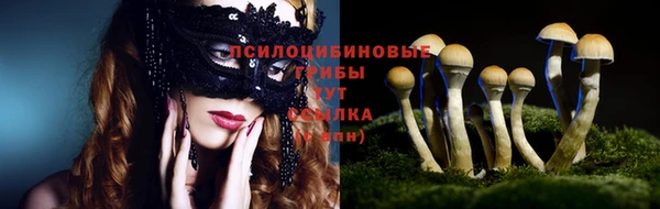 круглые Няндома