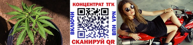 mega ссылки Чадан ТГК вейп купить наркотики сайты