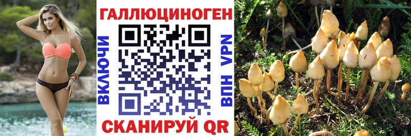 Галлюциногенные грибы мицелий Чадан