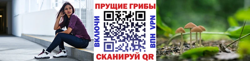 цены   Чадан  МЕГА вход  Галлюциногенные грибы прущие грибы 